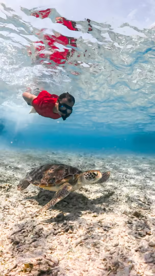 Paket Honeymoon Lombok 3 Hari 2 Malam Romantic Private Tour - Foto Perjalanan 10