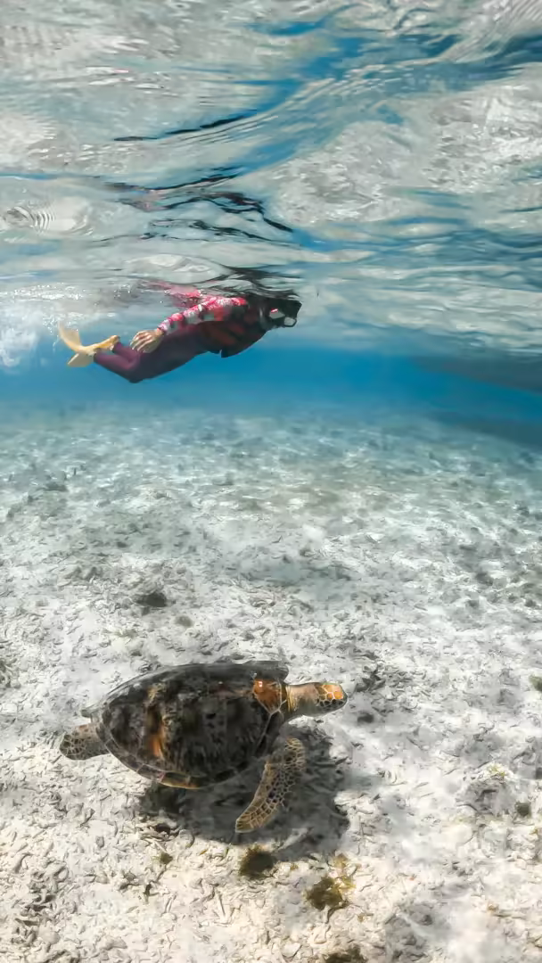 Paket Honeymoon Lombok 3 Hari 2 Malam Romantic Private Tour - Foto Perjalanan 16
