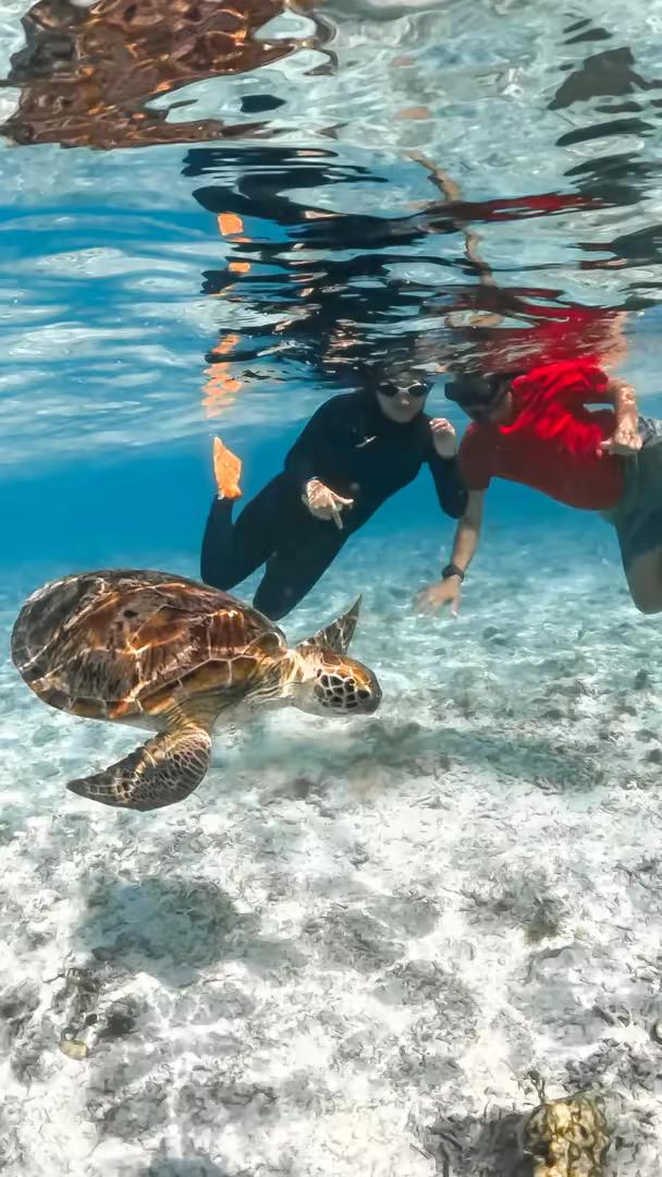 Paket Wisata 1 Hari Sumbawa Pulau Kenawa, Paserang & Kambing - Foto Perjalanan 5