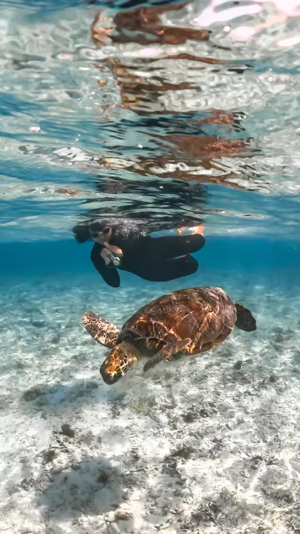 Paket Honeymoon Lombok 3 Hari 2 Malam Romantic Private Tour - Foto Perjalanan 2