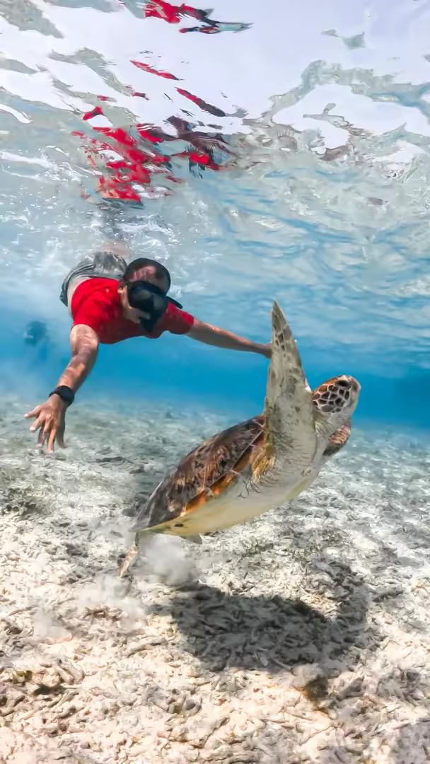 Paket Wisata 1 Hari Sumbawa Pulau Kenawa, Paserang & Kambing - Foto Perjalanan 16