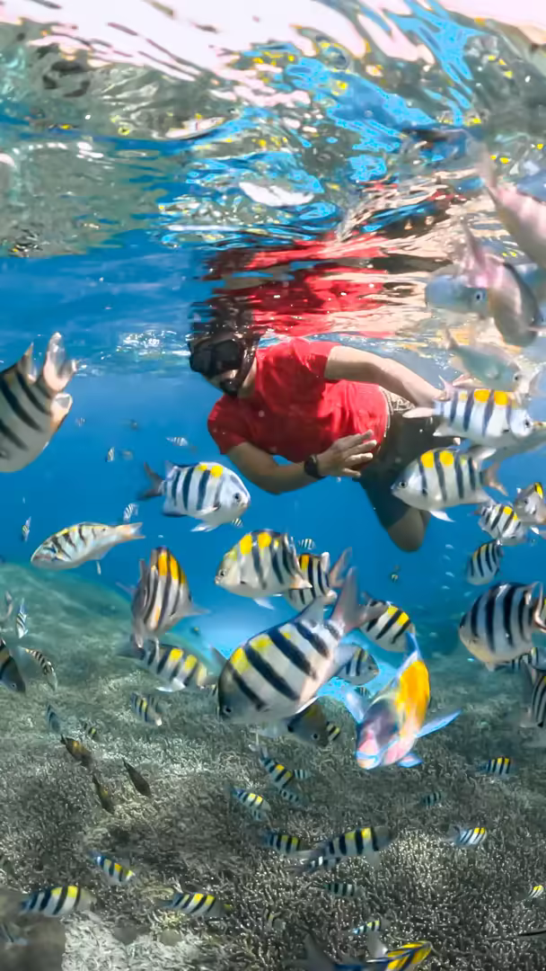 Paket Honeymoon Lombok 3 Hari 2 Malam Romantic Private Tour - Foto Perjalanan 7