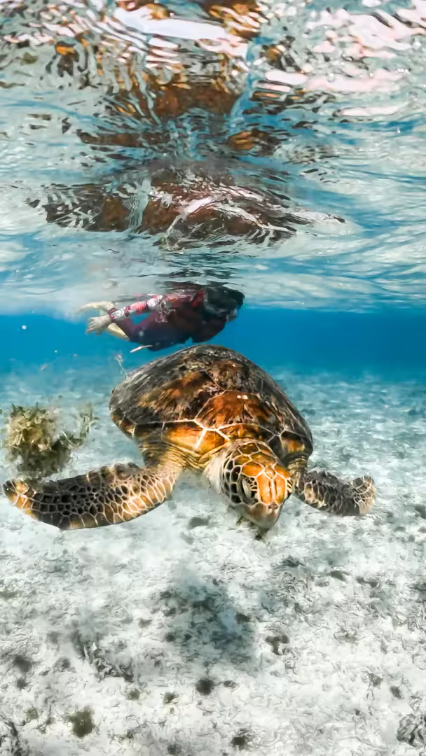 Paket Wisata 1 Hari Sumbawa Pulau Kenawa, Paserang & Kambing - Foto Perjalanan 19
