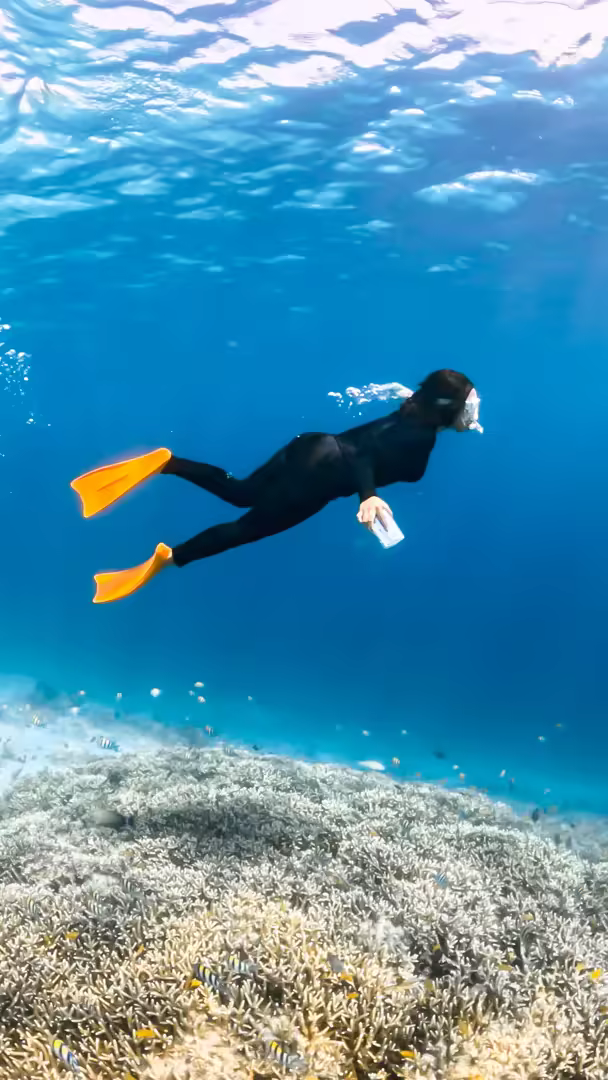 Paket Honeymoon Lombok 3 Hari 2 Malam Romantic Private Tour - Foto Perjalanan 20