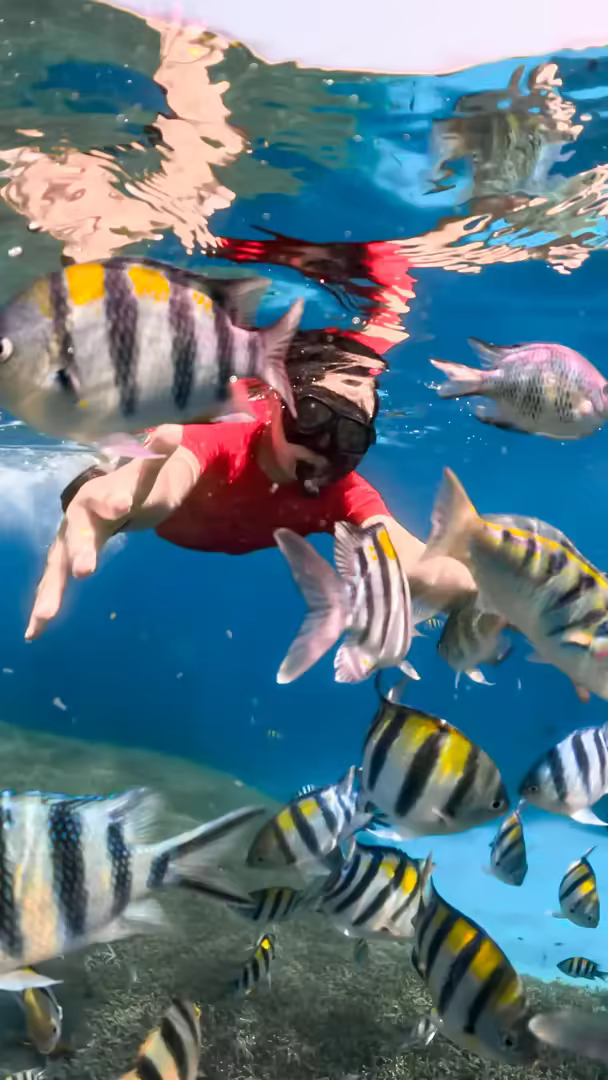 Paket Honeymoon Lombok 4 Hari 3 Malam Romantic Private Tour - Foto Perjalanan 16