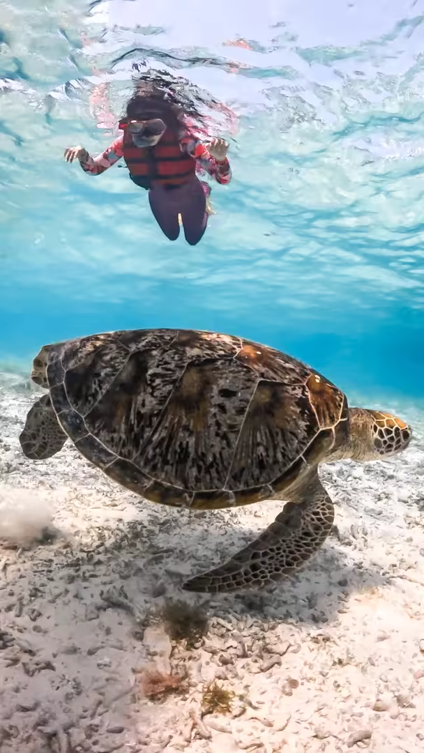 Paket Wisata 1 Hari Sumbawa Pulau Kenawa, Paserang & Kambing - Foto Perjalanan 1